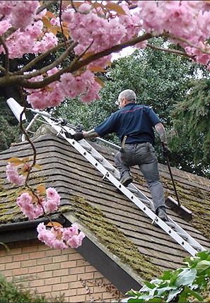 Our staff cleaning the moss from a roof in Pevensey near Eastbourne